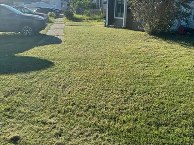 Lawn Care service in Panama City, 32401