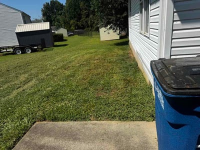 Lawn Care service in Alameda, 94501