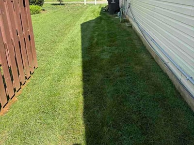 Lawn Care service in Alameda, 94501