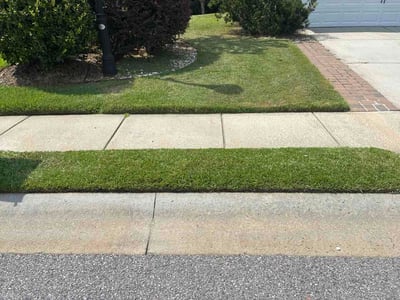 Lawn Care service in Hilton Head Island, 29926