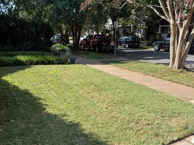 Lawn Care service in San Ramon, 94583
