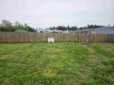 Lawn Care service in Lacey, 98503