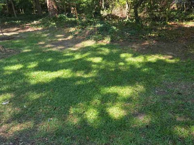 Leaf Removal service in Noblesville, 46060