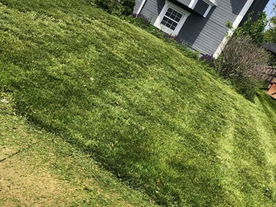 Lawn Care service in Scarsdale, 10583