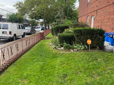 Lawn Care service in Elmhurst, 11373