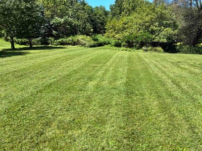 Lawn Care service in Elmhurst, 11373