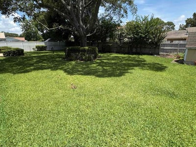 Lawn Care service in Miramar Beach, 32550