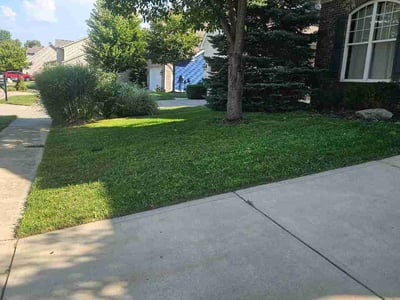 Lawn Care service in Ocean City, 08226