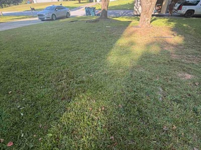 Lawn Care service in Whitestone, 11357