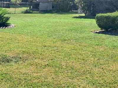 Lawn Care service in Rockville Centre, 11570