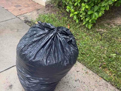 Leaf Removal service in St Cloud, 34769