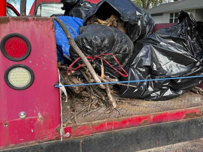 Leaf Removal service in Oshkosh, 54901