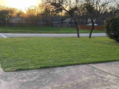 Lawn Care service in Dale, 78616