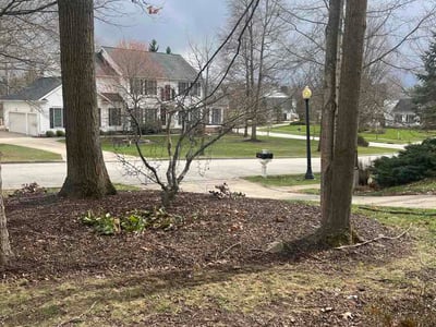 Leaf Removal service in Oshkosh, 54901