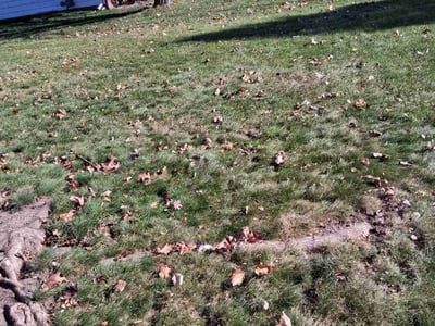 Leaf Removal service in Oshkosh, 54901