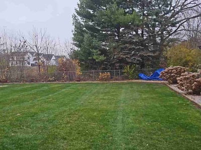 Leaf Removal service in Oshkosh, 54901