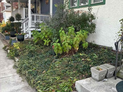 Leaf Removal service in Oshkosh, 54901
