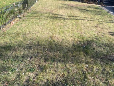 Leaf Removal service in Oshkosh, 54901