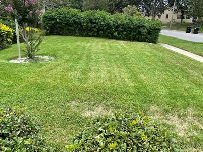 Lawn Care service in Elmont, 11003