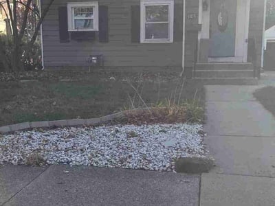 Leaf Removal service in Oshkosh, 54901