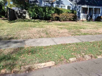 Leaf Removal service in Oshkosh, 54901