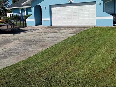 Lawn Care service in East Elmhurst, 11369