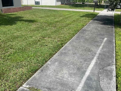 Lawn Care service in Jersey City, 07302