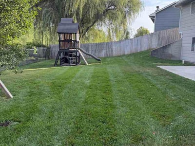 Lawn Care service in East Elmhurst, 11369
