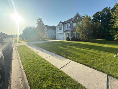 Lawn Care service in Richmond Hill, 11418