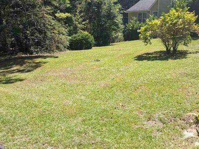 Lawn Care service in Macon, 31201