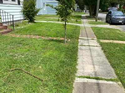 Lawn Care service in Hollis, 11423