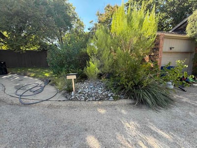 Leaf Removal service in Rockwall, 75087