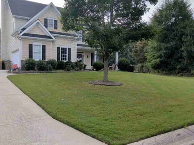 Lawn Care service in Howard Beach, 11414