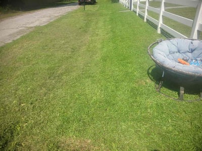 Lawn Care service in Florence, 29506