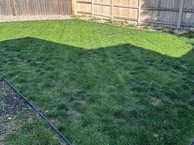 Lawn Care service in Corona, 11368