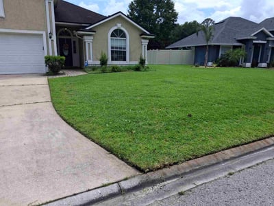 Lawn Care service in Paterson, 07505