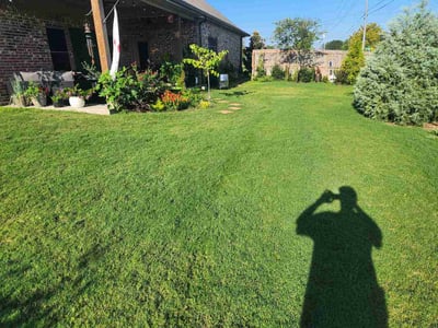 Lawn Care service in Lake Charles, 70601
