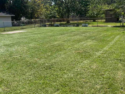 Lawn Care service in Sulphur, 70663