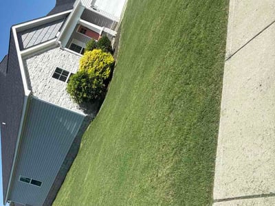 Lawn Care service in North Augusta, 29841