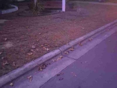 Leaf Removal service in Durham, 27701