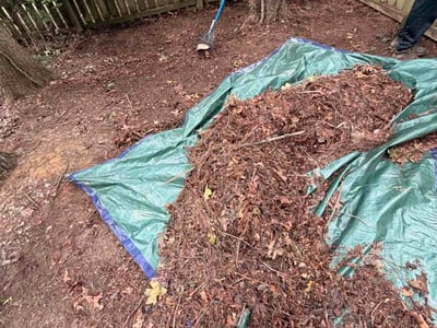 Leaf Removal service in Durham, 27701