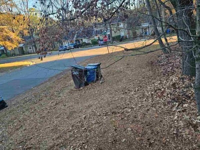 Leaf Removal service in Durham, 27701