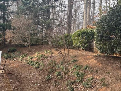 Leaf Removal service in Durham, 27701
