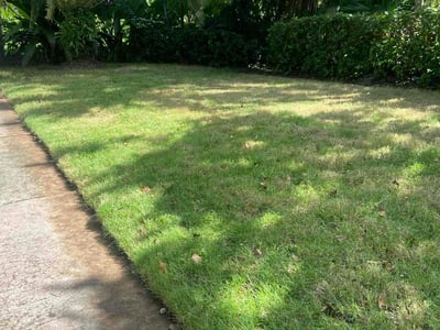 Leaf Removal service in Miami Gardens, 33056