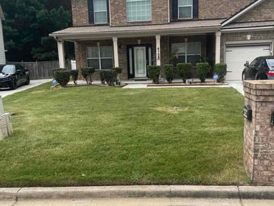 Lawn Care service in Los Banos, 93635