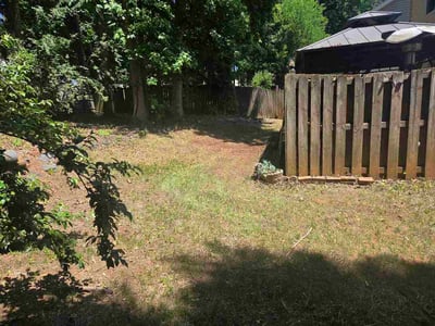 Leaf Removal service in Durham, 27701