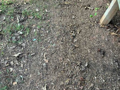 Leaf Removal service in Durham, 27701