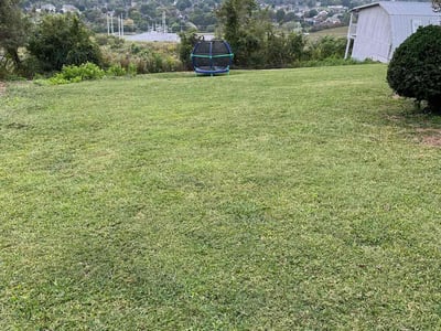 Lawn Care service in Bristol, 37620