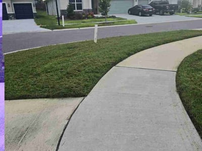 Lawn Care service in Bay Shore, 11706