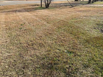 Leaf Removal service in Durham, 27701